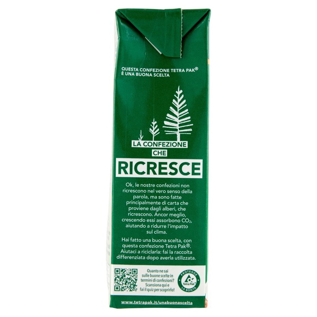 HOPLA' Panna da montare zuccherata 500 ML