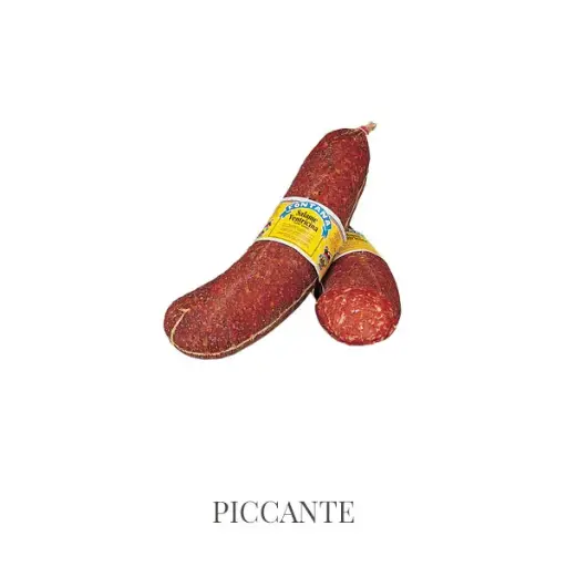 [51343500/01] Ermes Fontana Salame Ventricina intera piccante al Kg (circa kg 3,5)